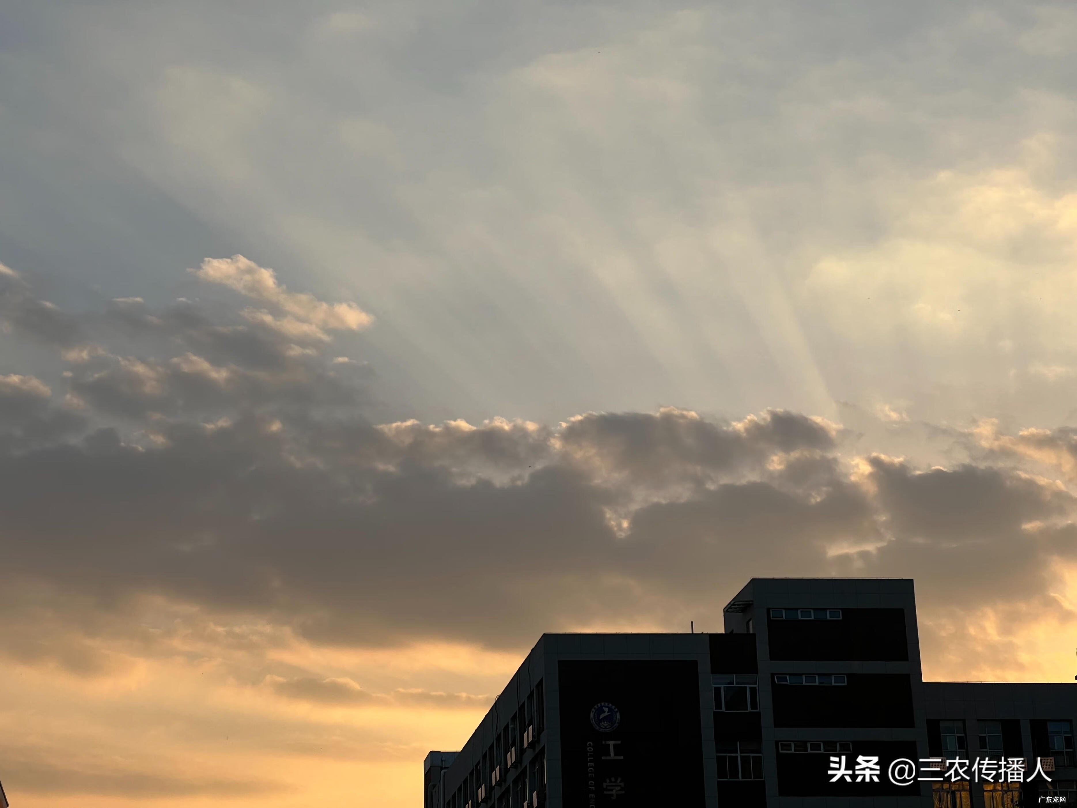 中国农业大学西校区专业 北京农业大学西校区地址