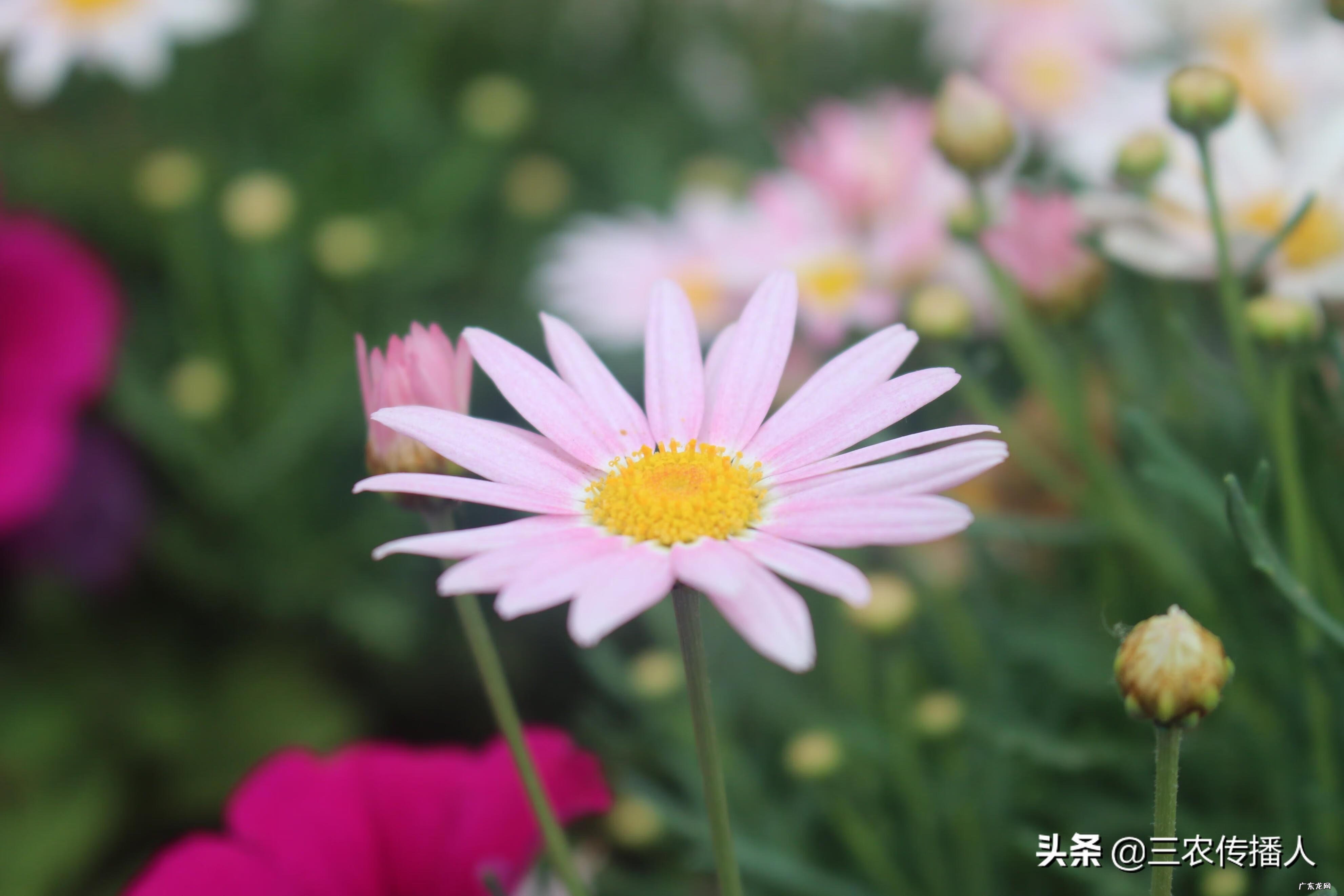 中国农业大学西校区专业 北京农业大学西校区地址