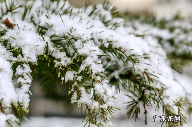 十大公认最好闻的香薰精油 最好用的精油品牌排行榜前十名