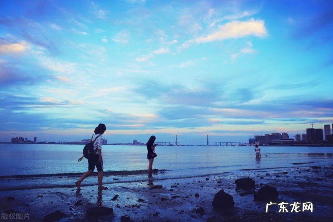 湛江市的历史沿革介绍 广东湛江市面积是多少