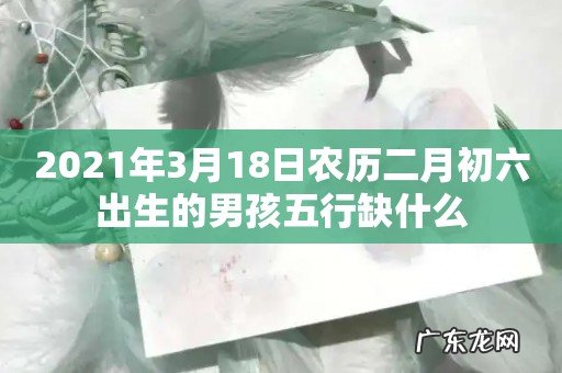 2021年3月18日农历二月初六出生的男孩五行缺什么