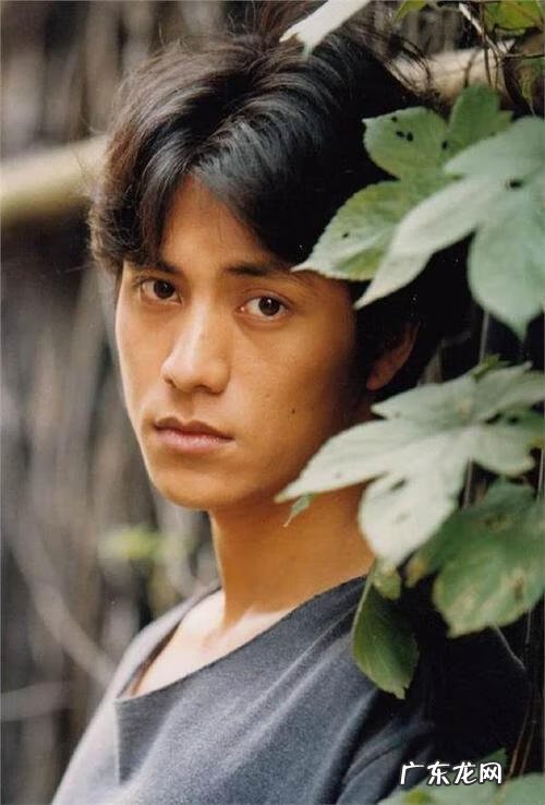 大海边风水好吗 海老爹风水