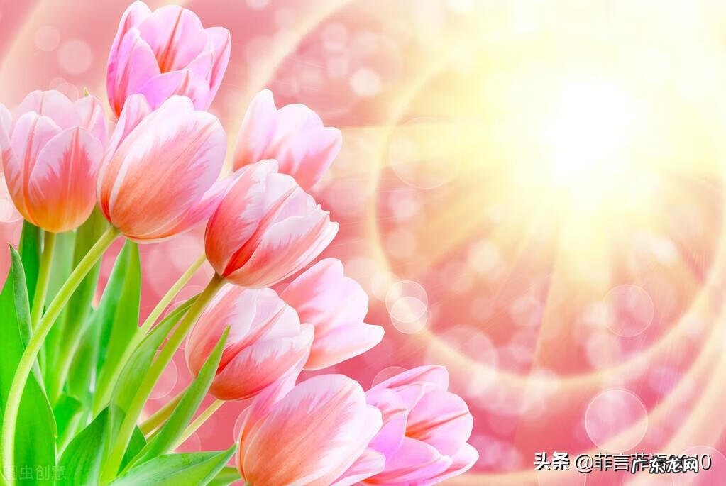 老婆是风水,决定一个家庭的好坏 一家人风水是老婆为主还是老公为主