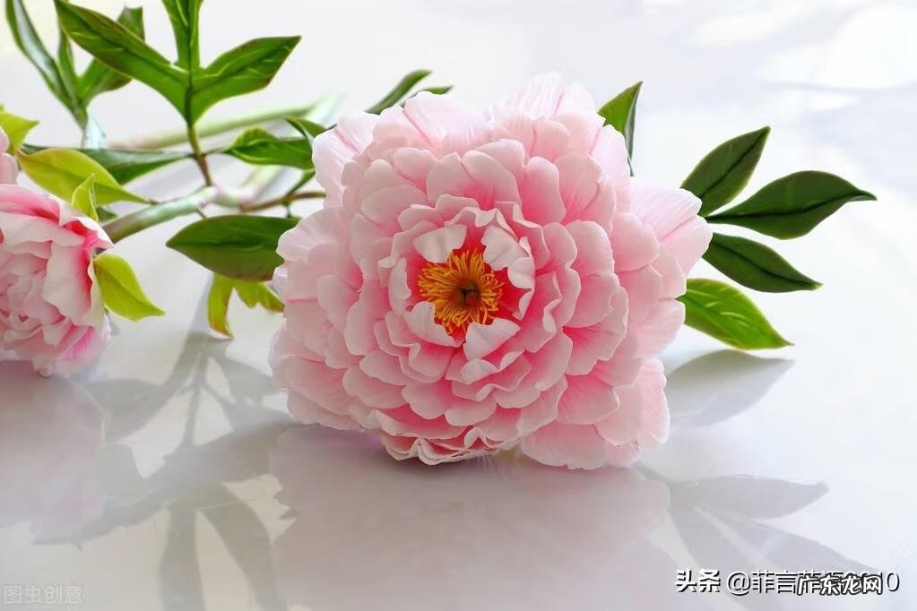 老婆是风水,决定一个家庭的好坏 一家人风水是老婆为主还是老公为主