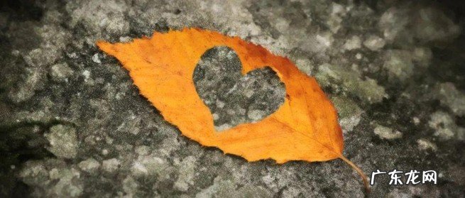 双重性格的人六个特征分析 一个双重性格的人聪明吗