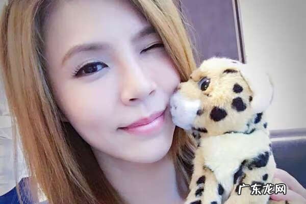 风水世家 《风水世家》