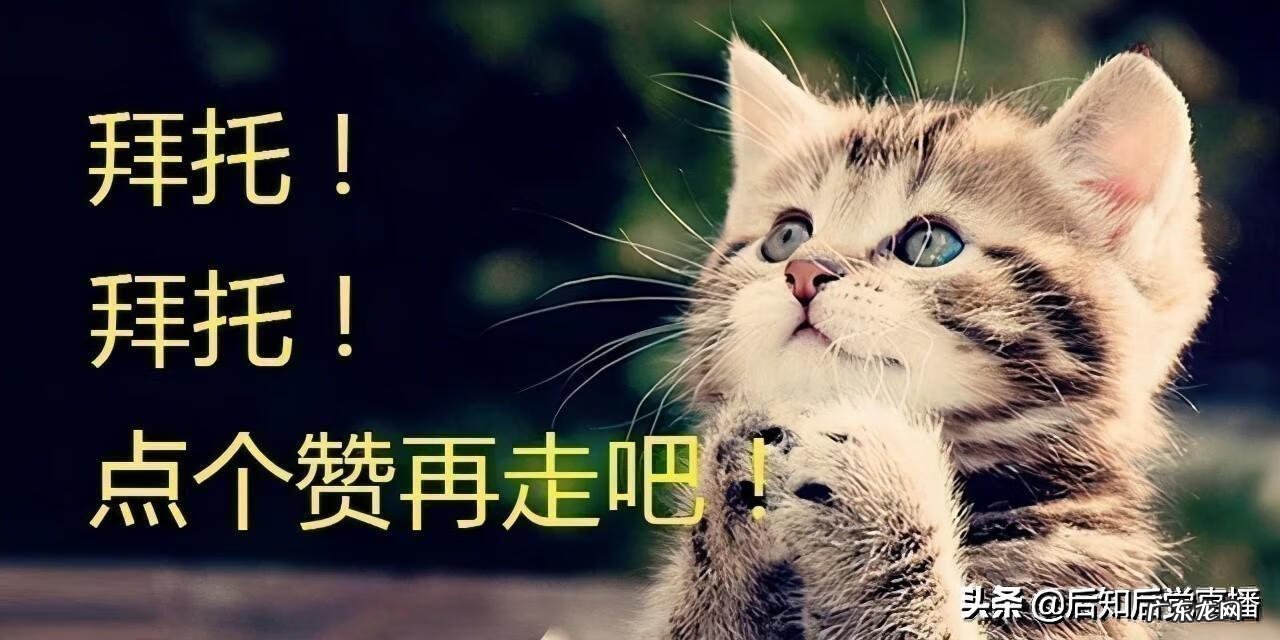硅胶白炭黑比例 白炭黑厂家