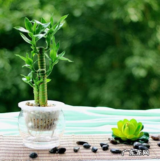 铜钱的风水作用 生肖铜钱风水讲究