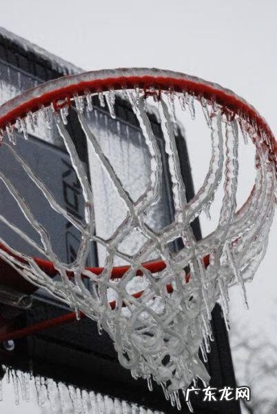 风水好的头像 风水师头像