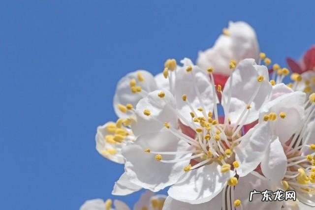 快速缓解压力精神放松的有效方法 快乐生活12种放松心情的方法