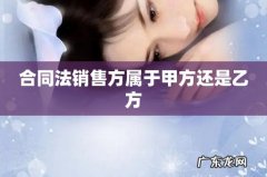 合同法销售方属于甲方还是乙方
