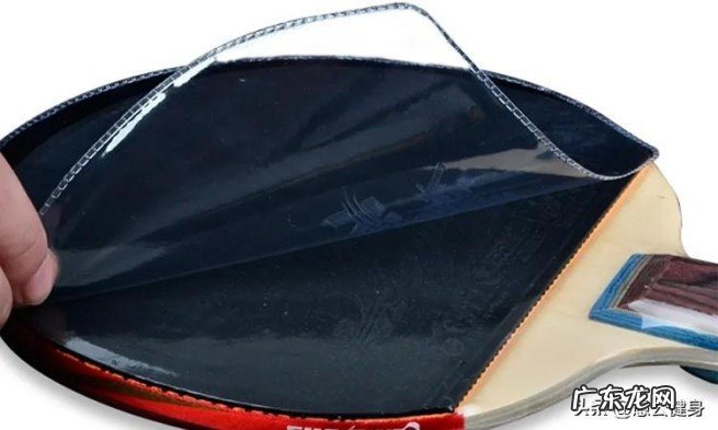 乒乓拍正反胶的四个不同点 正胶和反胶的区别是什么