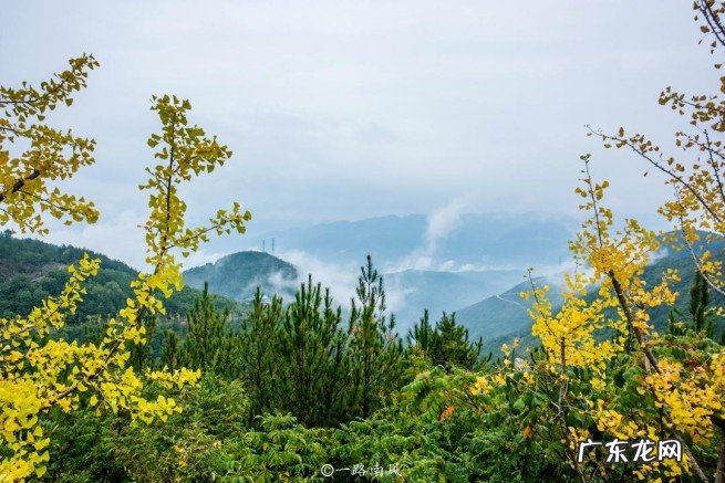 巫山县山是一座城城是一座山 重庆巫山在什么地方