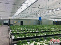 北低南高的风水学 工厂南高北低在风水上有什么说法