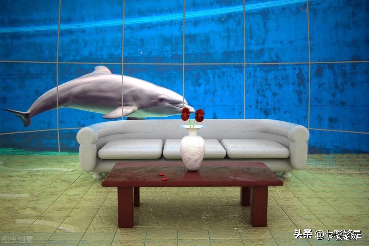 河豚种类介绍图 海豚图片