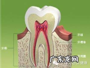 嘴角经常开裂是什么原因 嘴角裂口老不好是什么原因