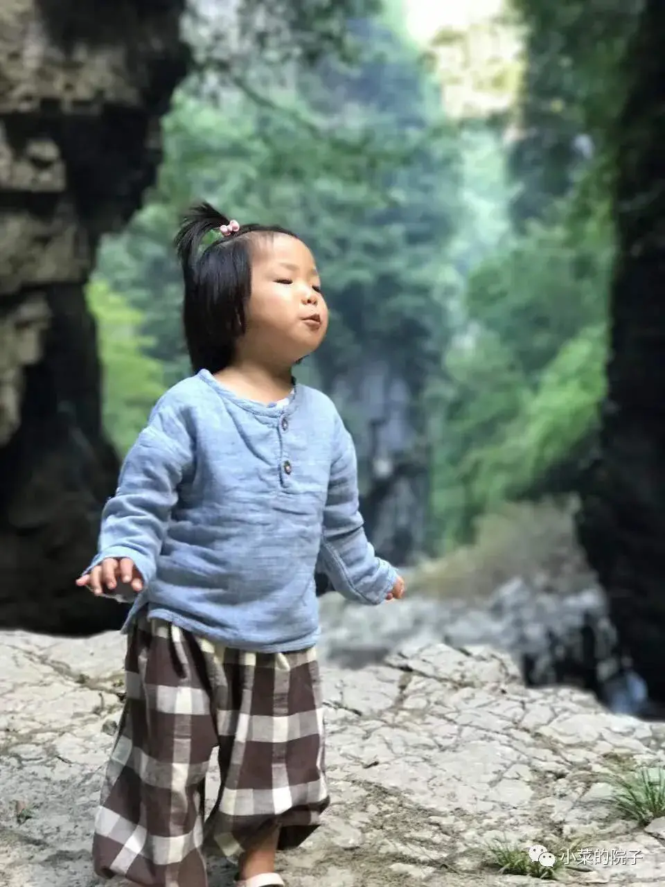 看风水大师 老范看风水