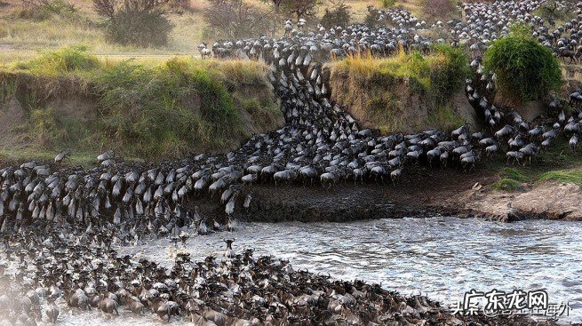 带你了解坦桑尼亚是一个怎么样的国家 tanzania是哪个国家的