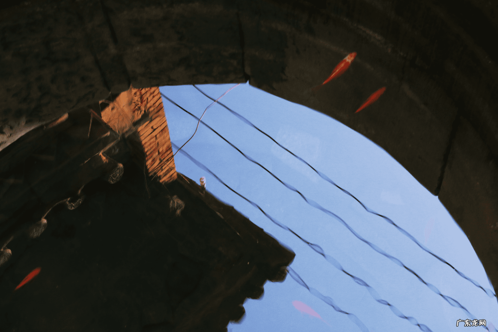 水井在院子中间好不好 屋檐下有水井好不好