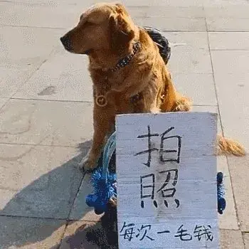 中山金鹰广场有哪些饭店 中山金鹰广场风水如何