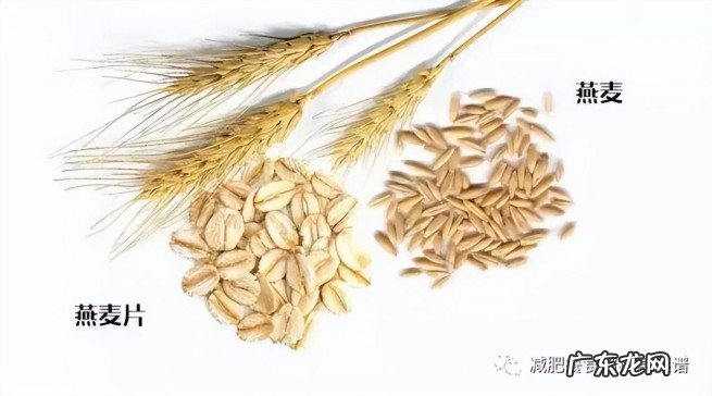 盘点10种最适合减肥的主食 国内十大减肥粗粮排行榜