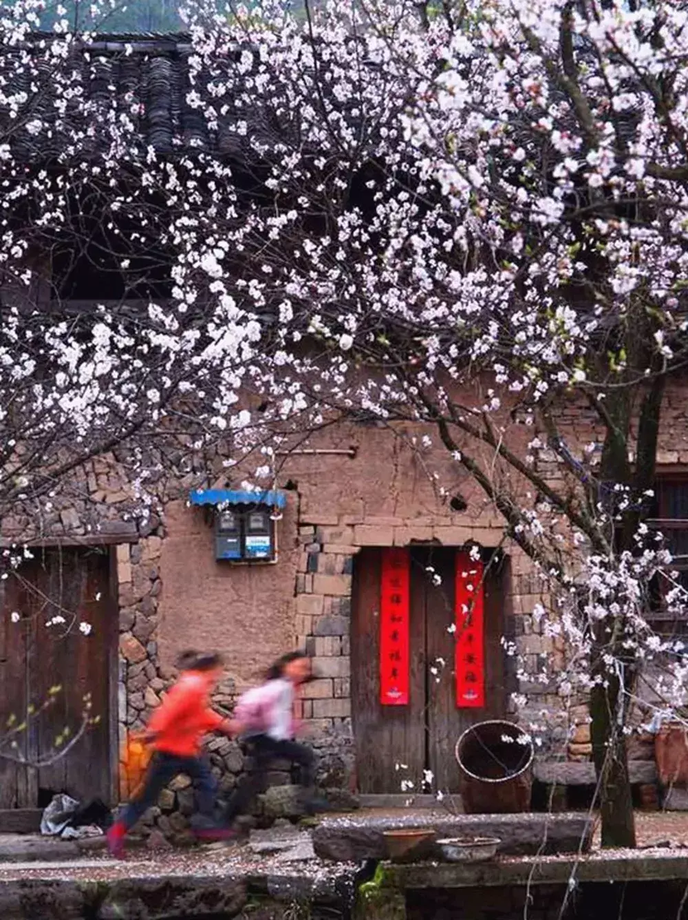 风水地图 丽水风水地图全图