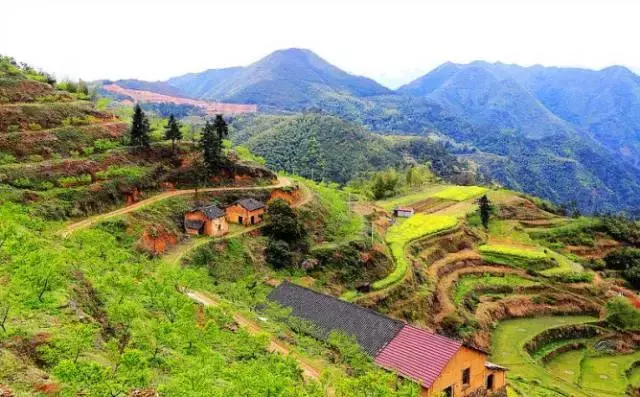 风水地图 丽水风水地图全图