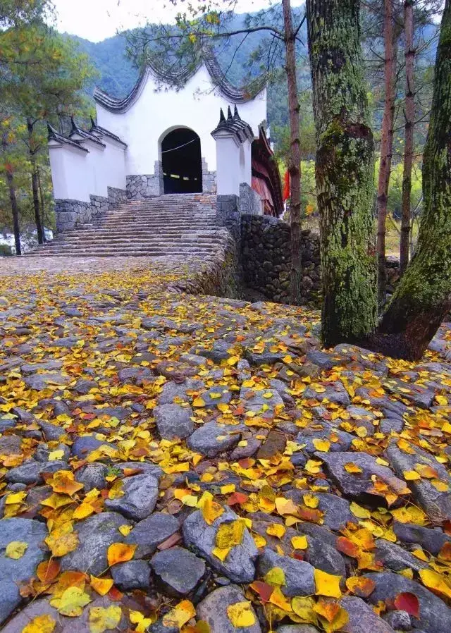 风水地图 丽水风水地图全图