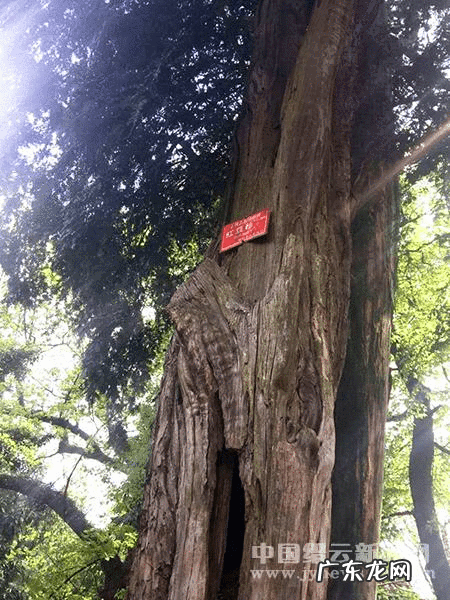 风水地图 丽水风水地图全图