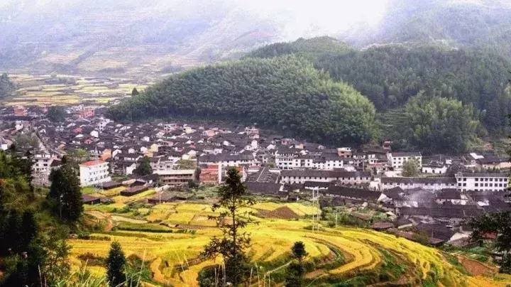 风水地图 丽水风水地图全图