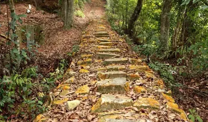 风水地图 丽水风水地图全图