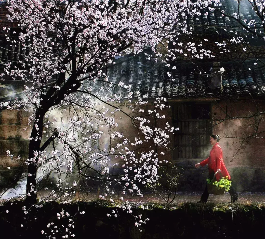 风水地图 丽水风水地图全图