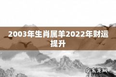 2003年生肖属羊2022年财运提升
