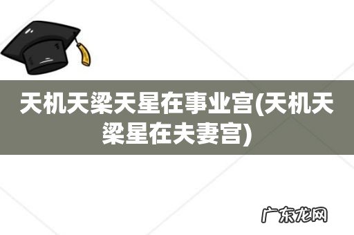 天机天梁星在夫妻宫 天机天梁天星在事业宫