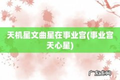 事业宫天心星 天机星文曲星在事业宫