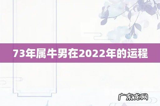 73年属牛男在2022年的运程
