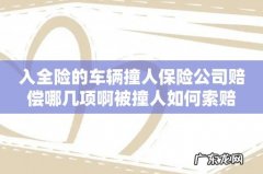 入全险的车辆撞人保险公司赔偿哪几项啊被撞人如何索赔
