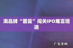 淘品牌“茵曼”闯关IPO难言坦途