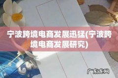 宁波跨境电商发展研究 宁波跨境电商发展迅猛