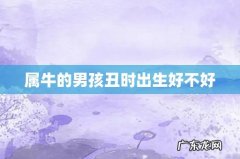 属牛的男孩丑时出生好不好
