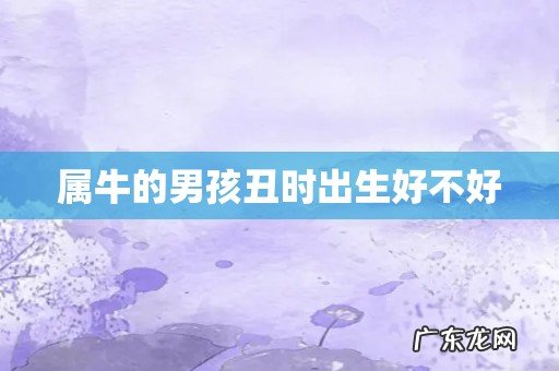 属牛的男孩丑时出生好不好