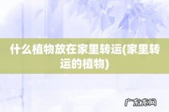 家里转运的植物 什么植物放在家里转运