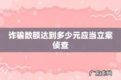 诈骗数额达到多少元应当立案侦查