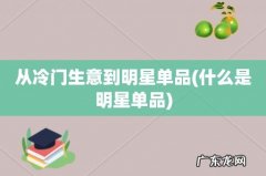 什么是明星单品 从冷门生意到明星单品