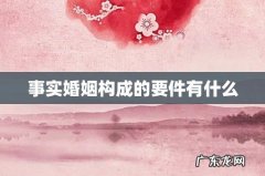 事实婚姻构成的要件有什么