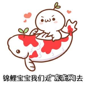 2017年高考成绩还能查得到吗 2017年高考成绩查询浙江
