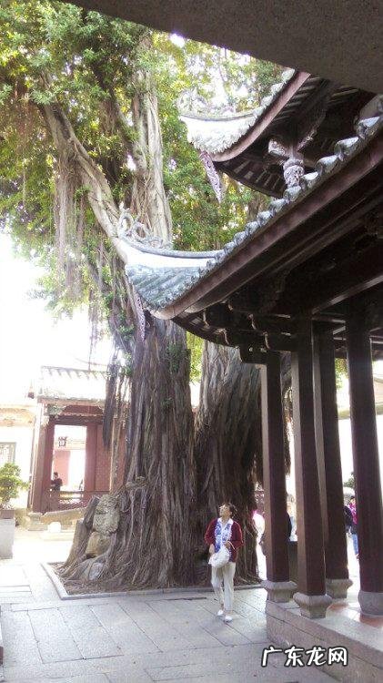 国学易经风水 国学风水爱好者有哪些