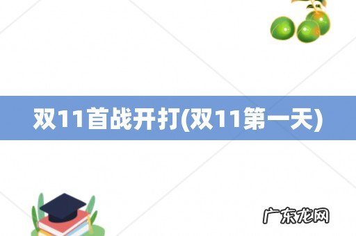 双11第一天 双11首战开打