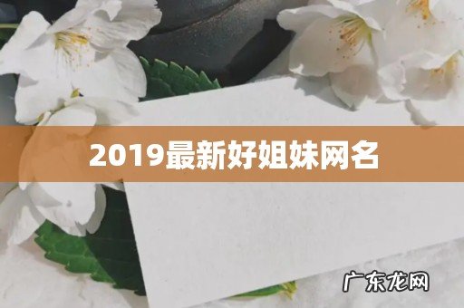 2019最新好姐妹网名