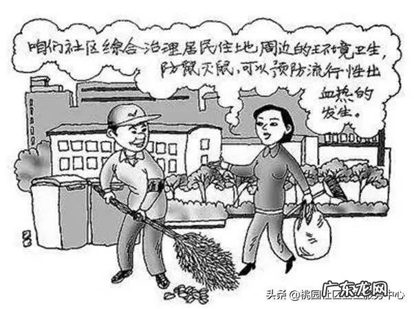 老鼠咬衣服风水是什么 鞋子上有老鼠尿怎么办